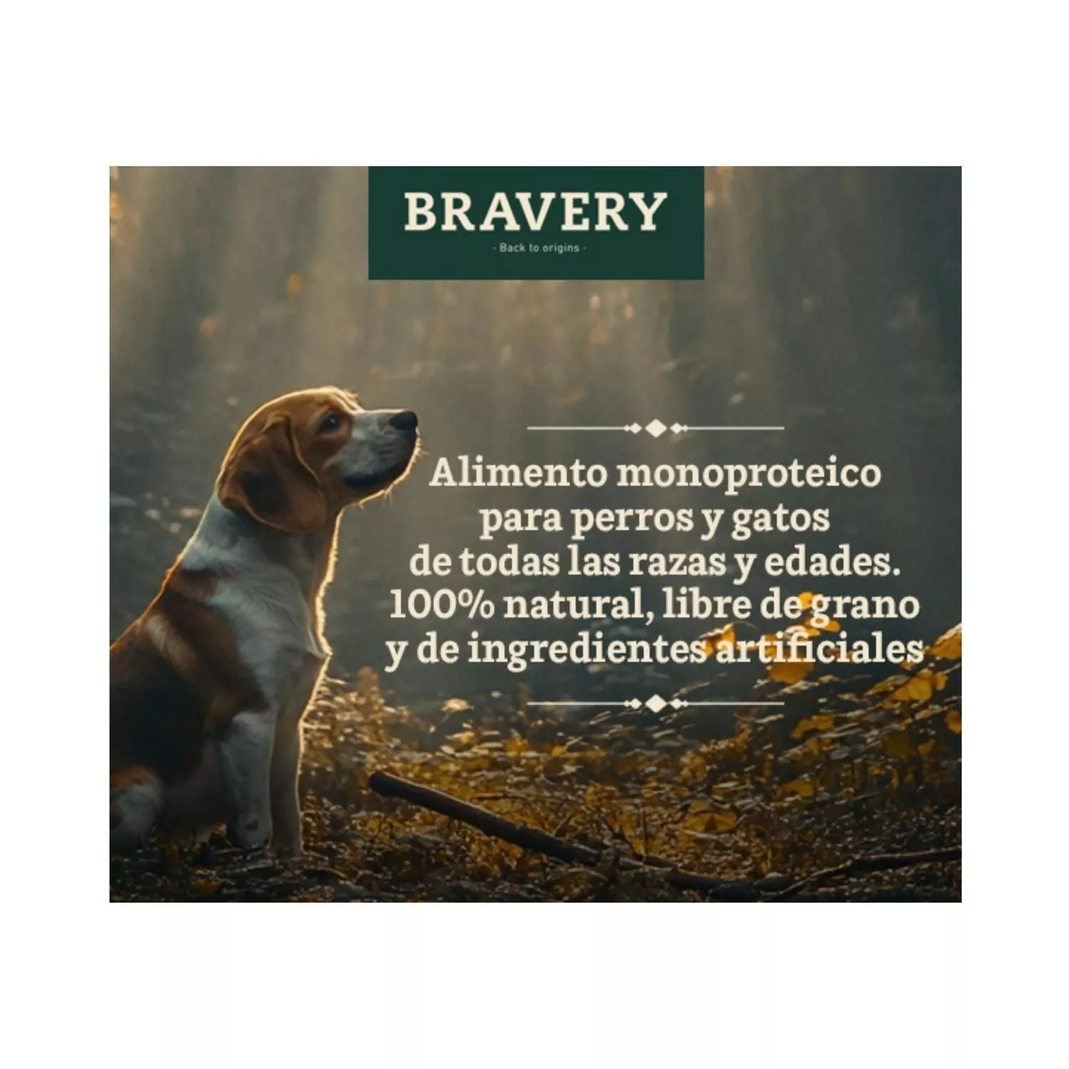 Alimento Bravery Razas Pequeñas - Imagen 5