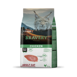 Bravery Gato Adulto