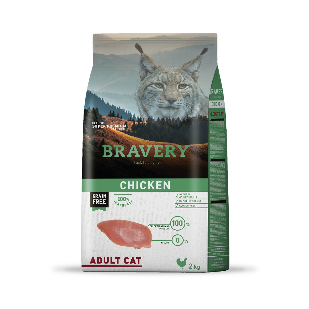 Bravery Gato Adulto